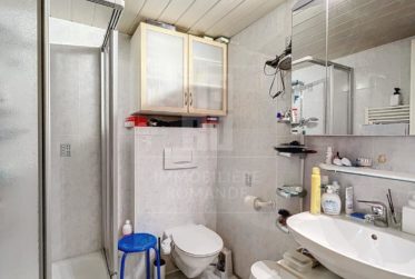 EXCLUSIVITE - Ravissante mitoyenne au calme, volume important, IDC faible !