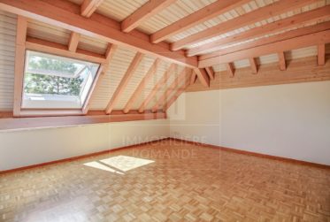 Lumineux duplex de 4,5 pièces au centre du village