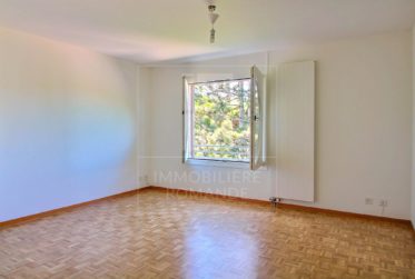 Lumineux duplex de 4,5 pièces au centre du village