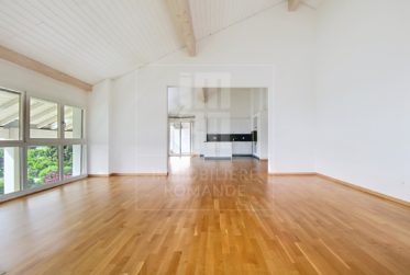 Magnifique appartement de 7 pièces à Jussy