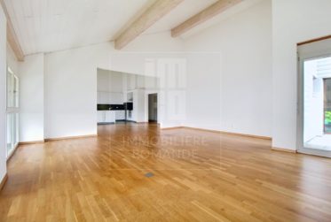 Magnifique appartement de 7 pièces à Jussy