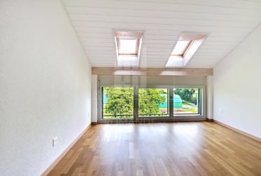 Magnifique appartement de 7 pièces à Jussy