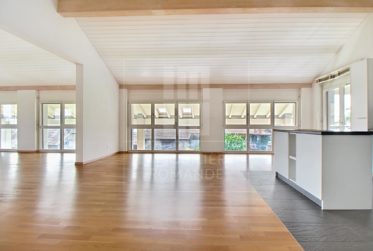 Magnifique appartement de 7 pièces à Jussy