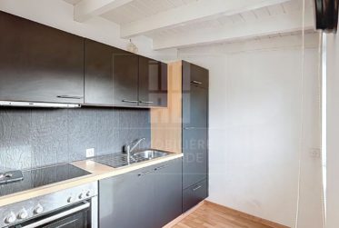 Appartement lumineux au coeur de Versoix