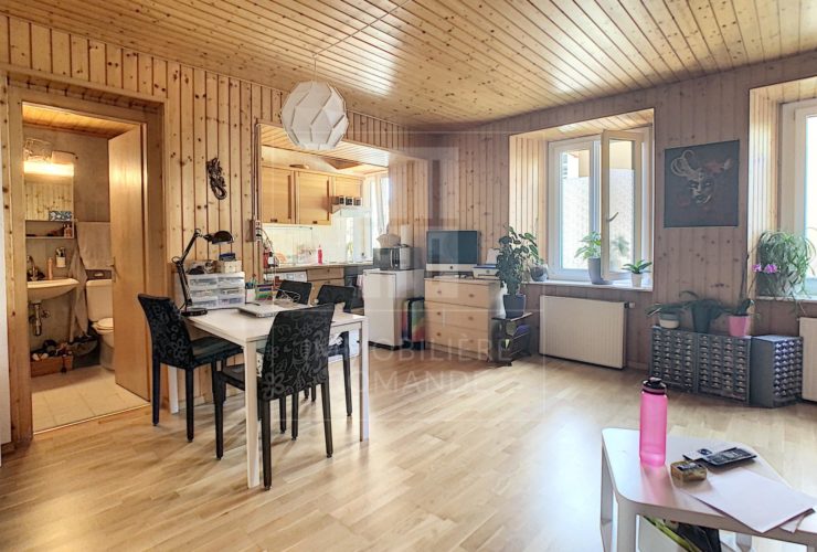 Spacieux studio dans un style chalet d'alpage