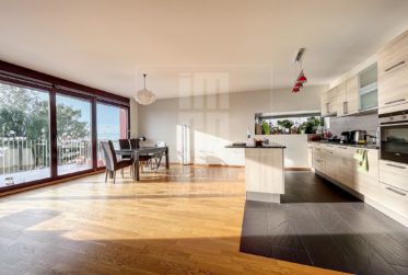 Appartement de 5 pièces au rez-de-chaussée avec jardin privatif
