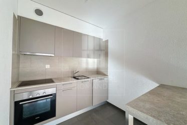 Magnifique appartement 2.5 pièces avec balcon-terrasse au cœur de Plainpalais