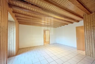 Charmant appartement 4.5 pièces