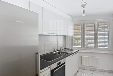 Charmant appartement à la Chaux de Fonds
