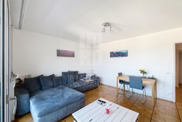 Appartement de 3 pièces avec magnifique vue sur le lac et les Alpes