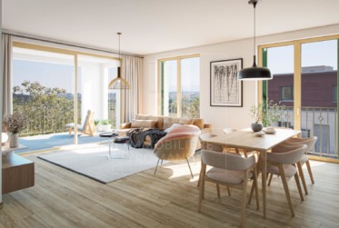 Magnifique appartement de 3 pièces en attique