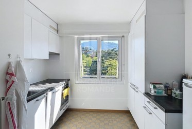 Appartement de 3 pièces avec magnifique vue sur le lac et les Alpes