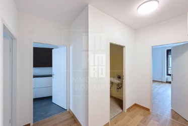 Appartement de 4 pièces au centre de la Jonction *information visite dans le descriptif*
