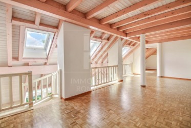 Lumineux duplex de 4,5 pièces au centre du village